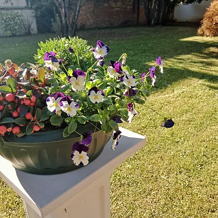 Relais Toti Beb Bed E Breakfast