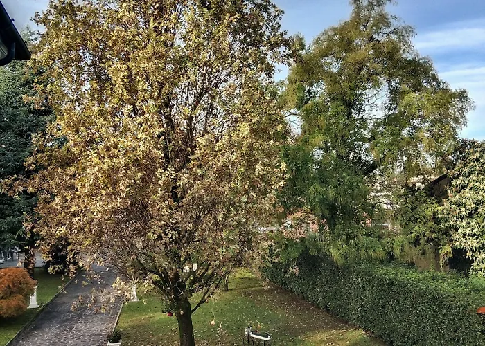 Relais Toti Beb Bed E Breakfast Mogliano Veneto