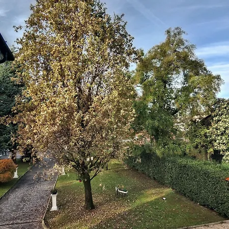 Relais Toti Beb Bed E Breakfast Mogliano Veneto